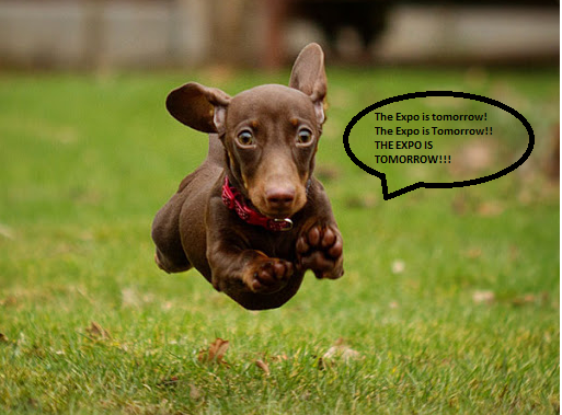 2020 New England Dog Expo!