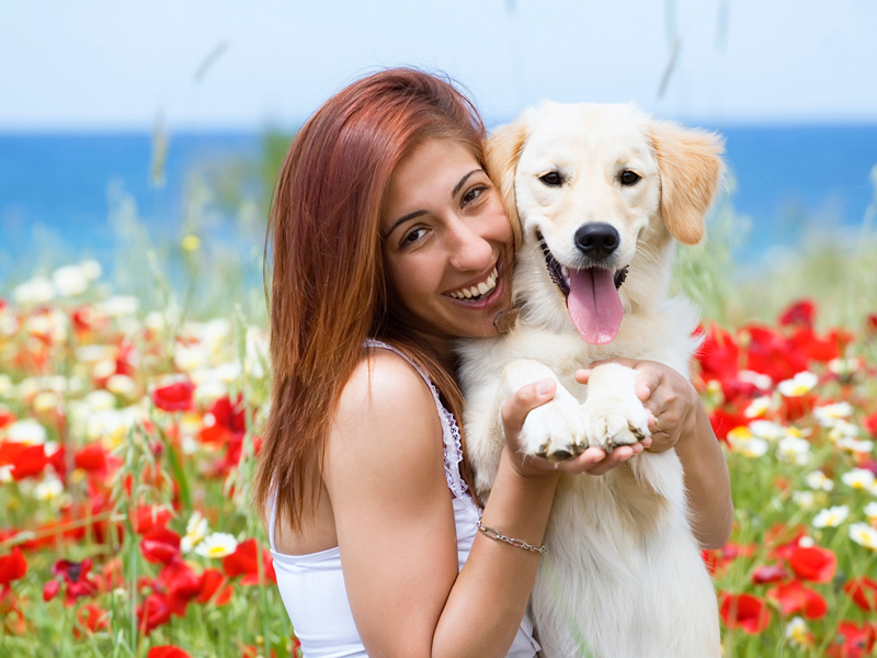 Lorem ipsum dolor sit