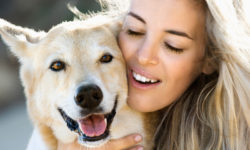 Etiam commodo convallis